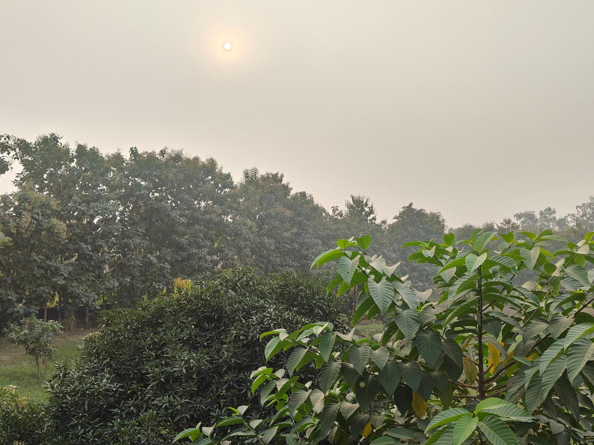 Nature Homestay Varanasi Exterior photo